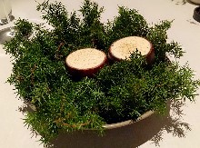 Thumbs/tn_LI,MEI-HUI.Norway.Maaemo_ (18).jpg